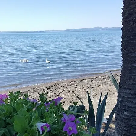 Hotel Lido - Beach&palace Bolsena